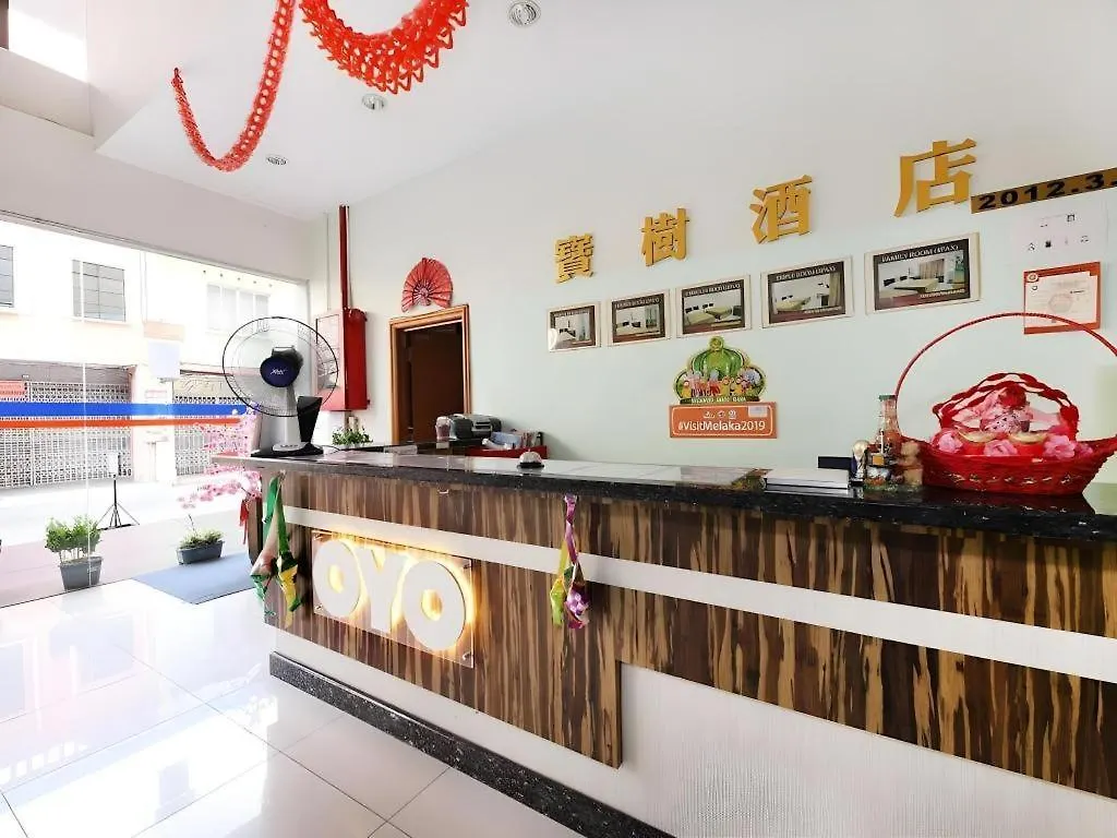 Hotel Bao Shu Malacca