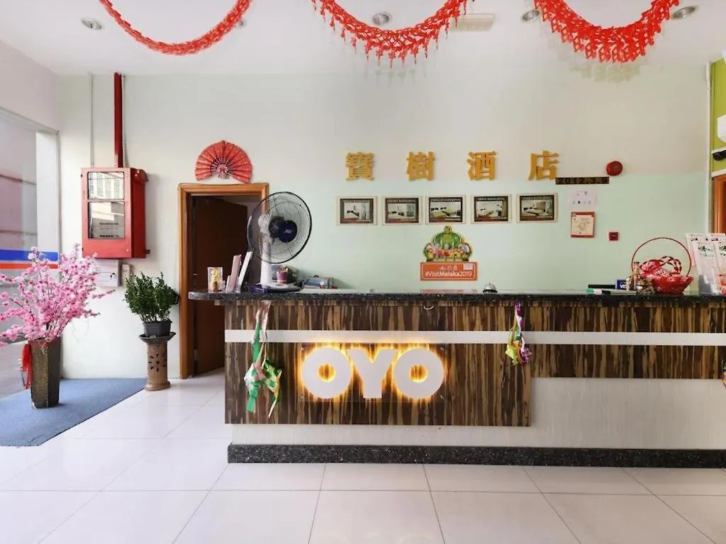 Hotel Bao Shu Malacca